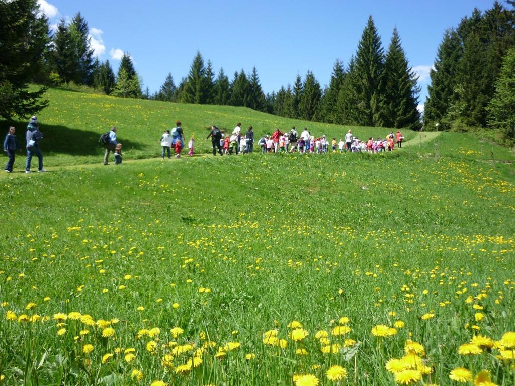 Hotel Da Barba B&B 3* Asiago